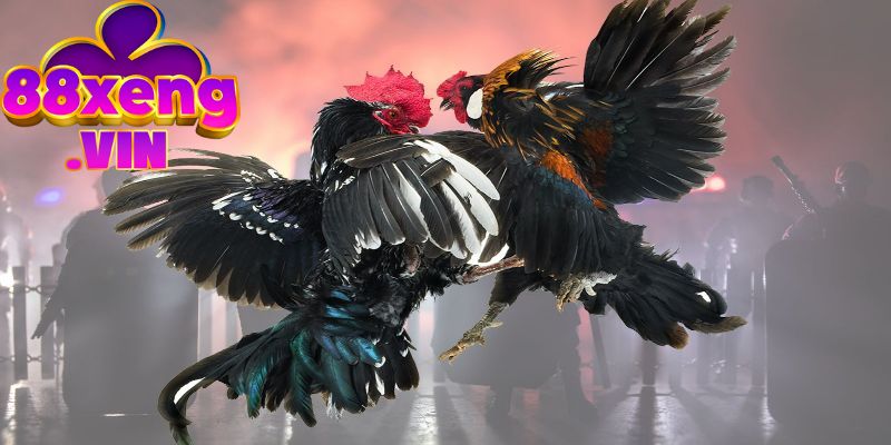 Có bao nhiêu hình thức đá gà trực tuyến trên thị trường?