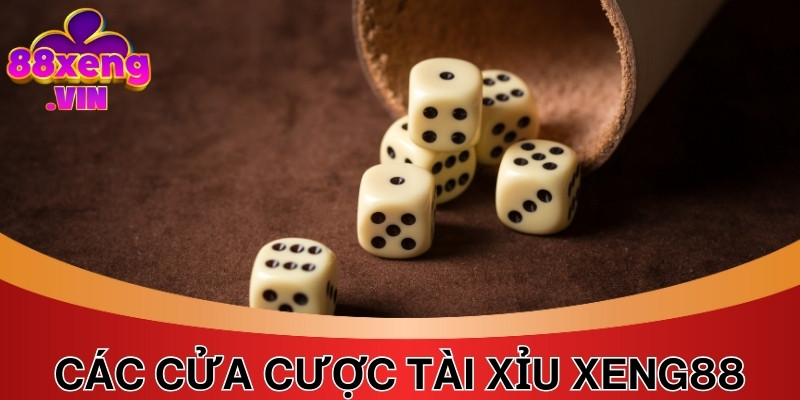 Danh sách các cửa cược xuất hiện trong ván Tài Xỉu Xeng88 bạn nên biết